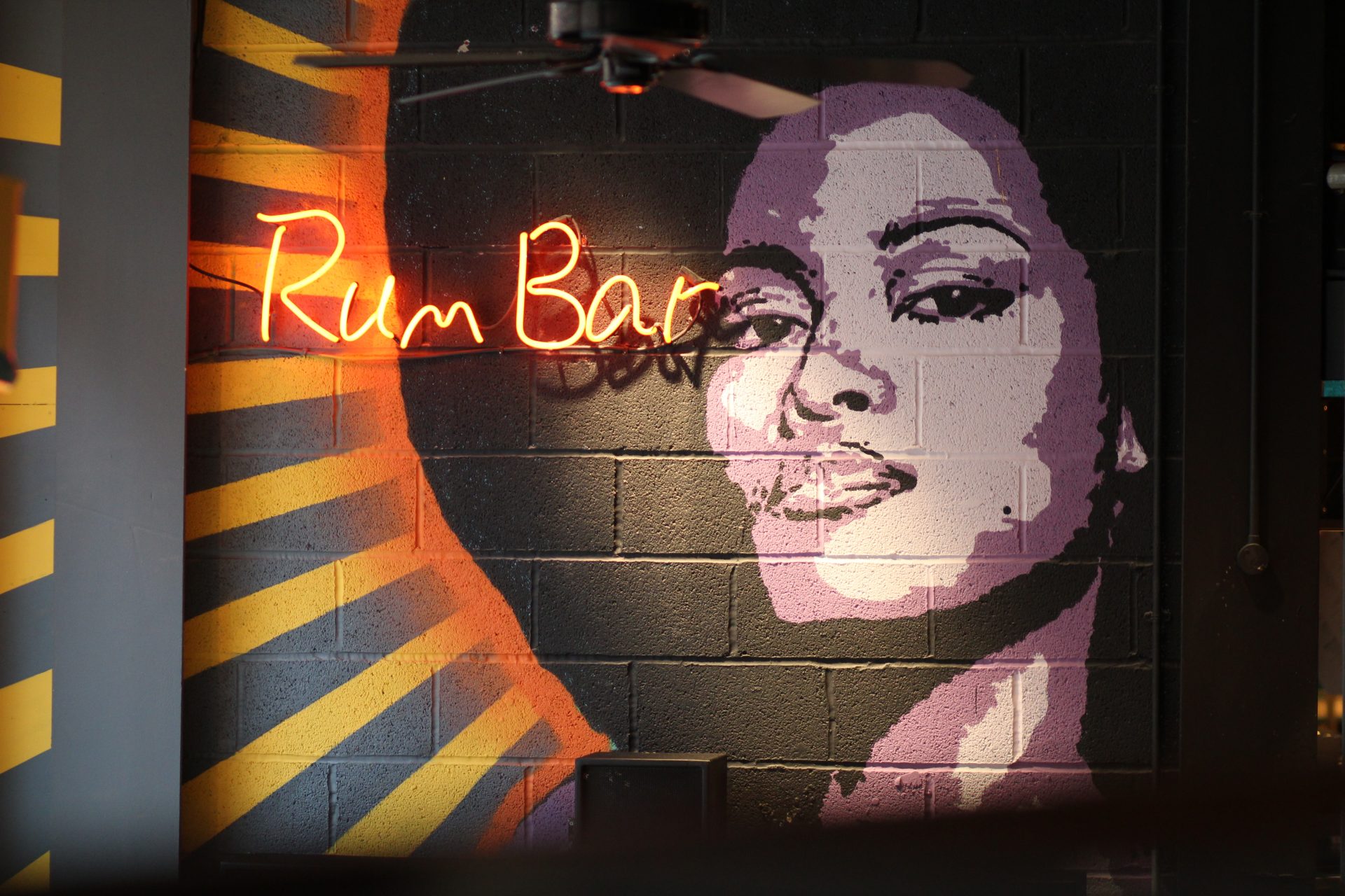 Birmingham rum bar neon sign girl wall mural