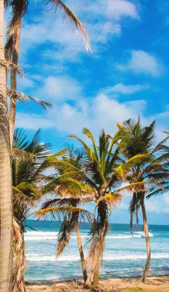 Barbados beach 3 min min min1